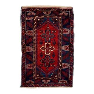 Teppich Anatoli | ca. 125 x 185 cm – jetzt kaufen bei Teppich-kaufen-XXL.de