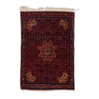 Teppich Bidjar Kordi | ca. 120 x 175 cm – jetzt kaufen bei Teppich-kaufen-XXL.de